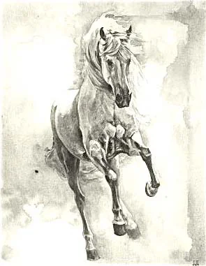 A pencil sketch of a powerful white stallion in motion